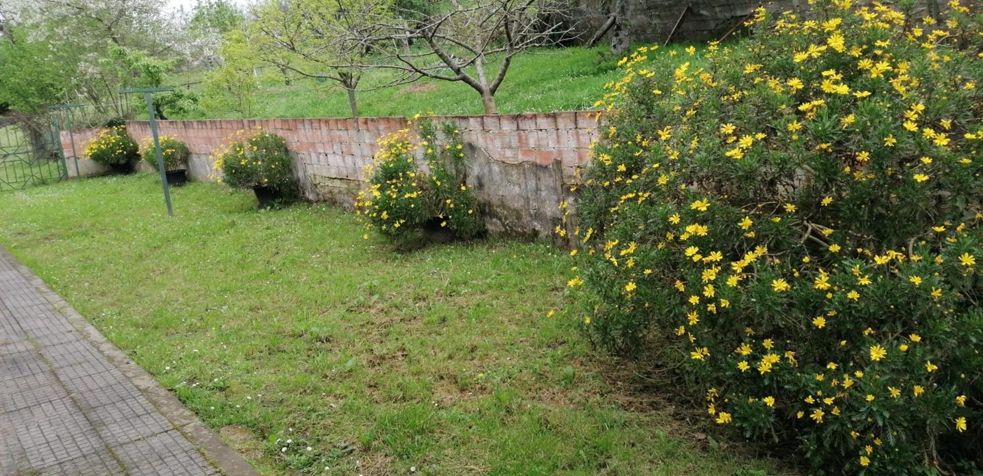 Fondu La Llosa - Casita Cerca De Gijon - Vv-662-As Villaviciosa  Ngoại thất bức ảnh